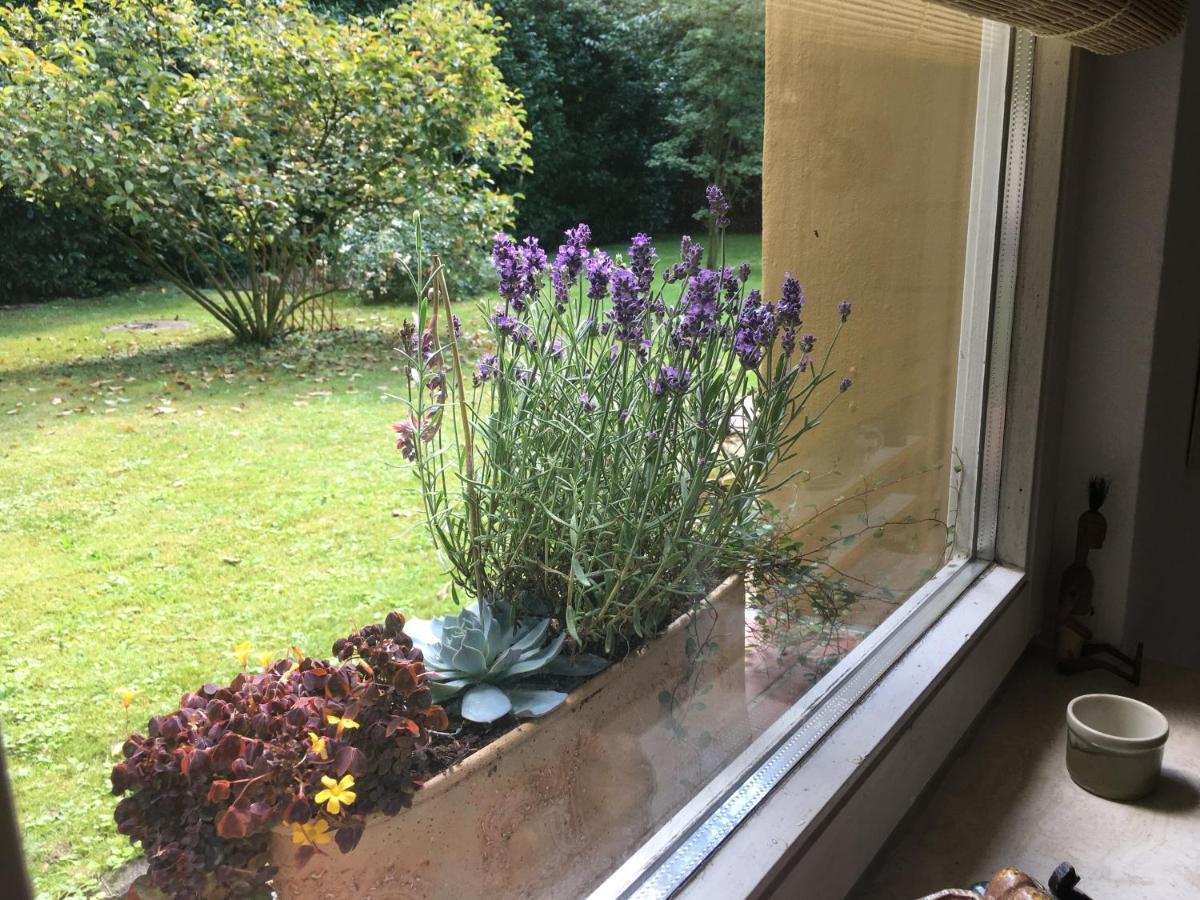 Willa House Apricot Krefeld Zewnętrze zdjęcie